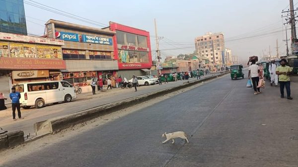 রোববার (১২ নভেম্বর) থেকে অবরোধ কর্মসূচি দেওয়া হবে।