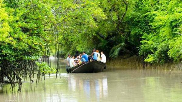 জাতীয় জরুরি সেবা ৯৯৯ এ কল করে সহযোগিতা চাওয়ায় সুন্দরবন থেকে বিকল নৌযান থেকে ১৯ পূণ্যার্থীকে উদ্ধার করেছে বনবিভাগ।
