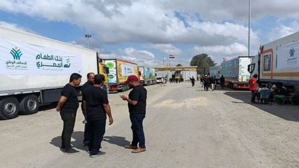 মিশর থেকে রাফা ক্রসিং দিয়ে গাজায় মানবিক সহায়তা নিয়ে বেশ কিছু ট্রাক প্রবেশ করছে।