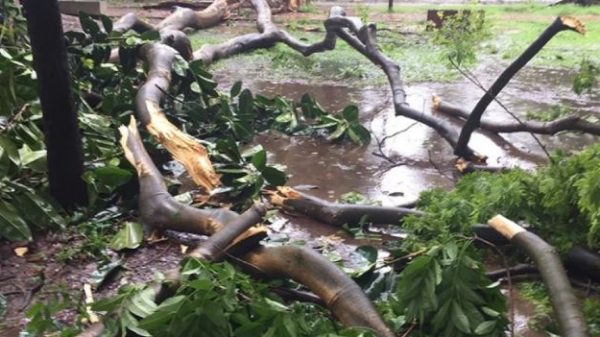 ফাইল ছবি।