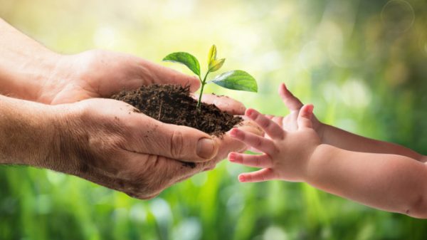 বিশ্ব পরিবেশ দিবস