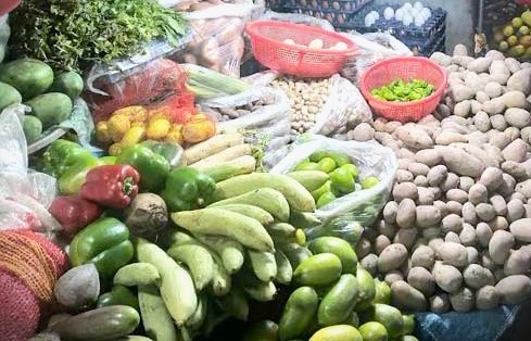 ফাইল ছবি।