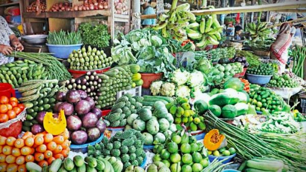 ফাইল ছবি।