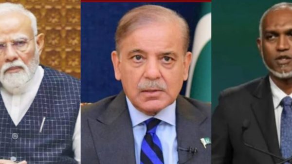 ফাইল ছবি।