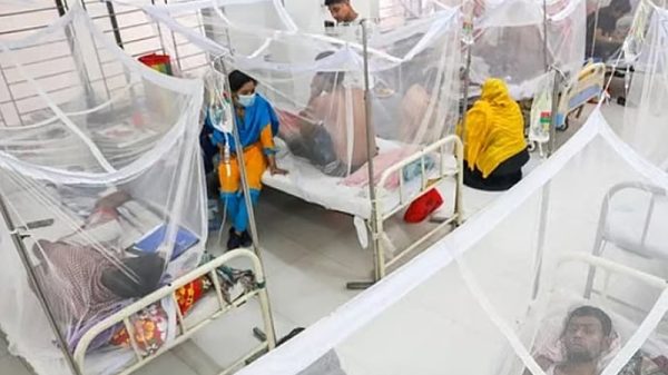 ফাইল ছবি।