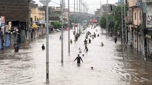 সংগৃহীত।
