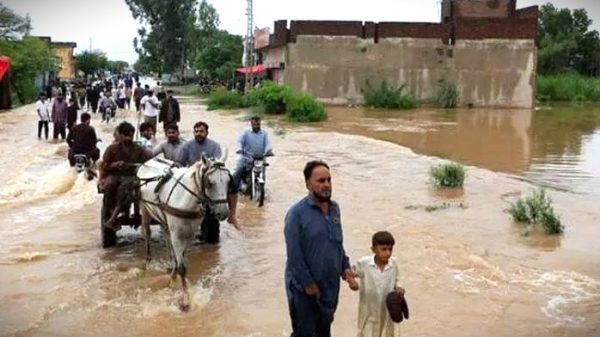 সংগৃহীত।