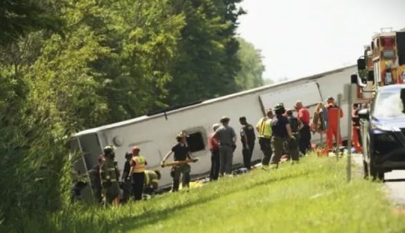 সংগৃহীত।