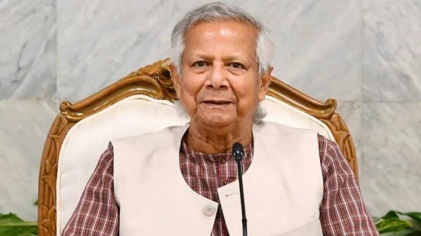 ফাইল ছবি।