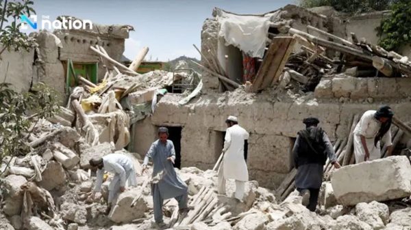 ফাইল ছবি।