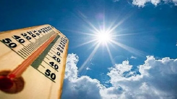 ফাইল ছবি।