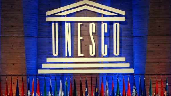 ফাইল ছবি।